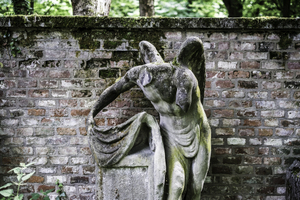 placeholder image 4